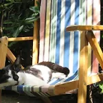 L\'Olivo B&B