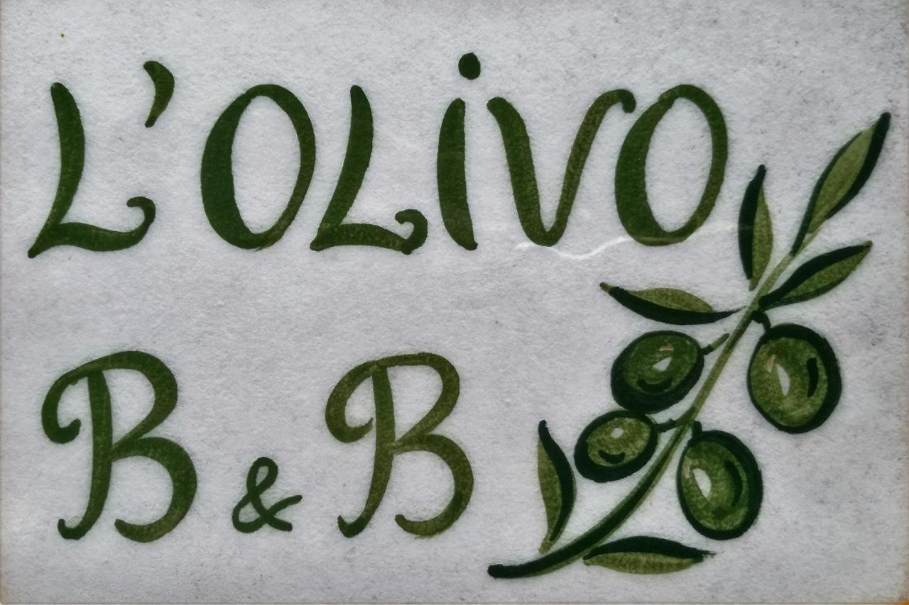 L'olivo *