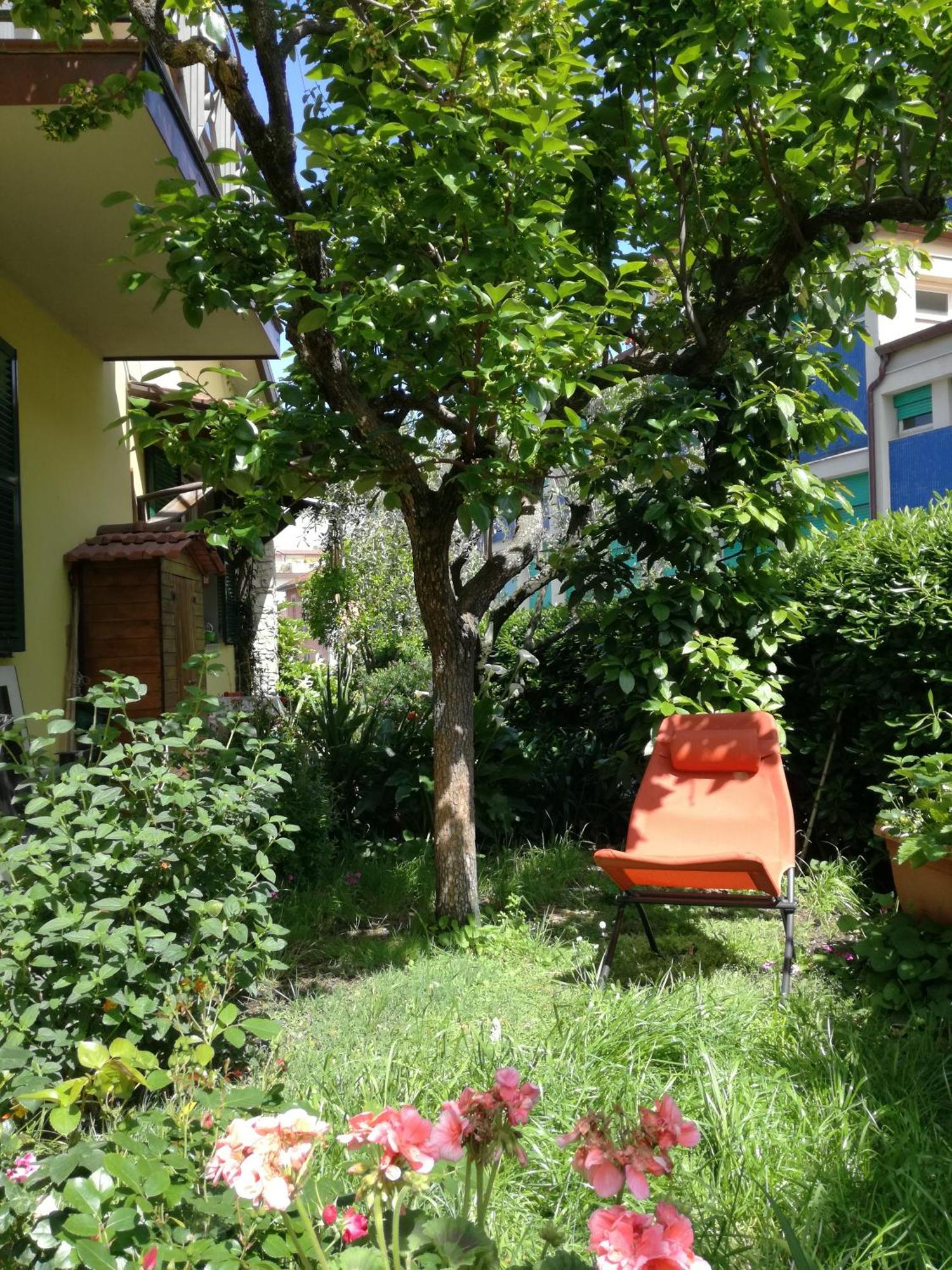 Bed & Breakfast L'olivo La Spezia